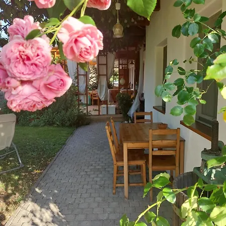 Rugosa * Sárospatak